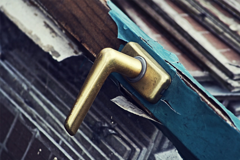 生態(tài)環(huán)境問(wèn)題與可持續(xù)發(fā)展